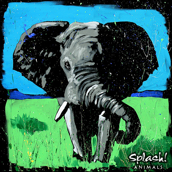 SplashAnimals-Elephant.jpg